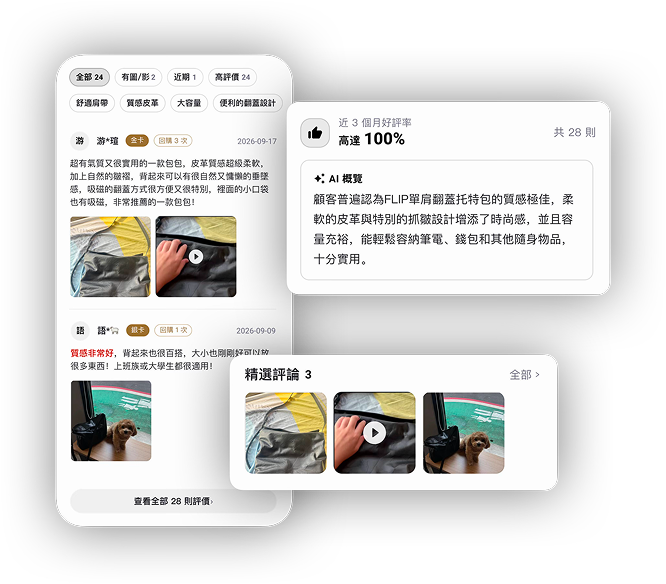 AI 概覽、近 3 個月好評率與精選評論